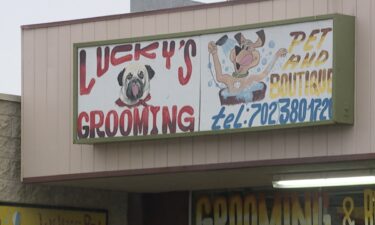 Several dog owners in Las Vegas are accusing a groomer of mistreating their pets.