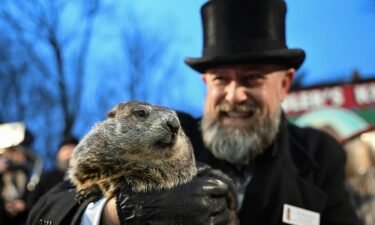 Groundhog Club handler A.J. Dereume holds Punxsutawney Phil