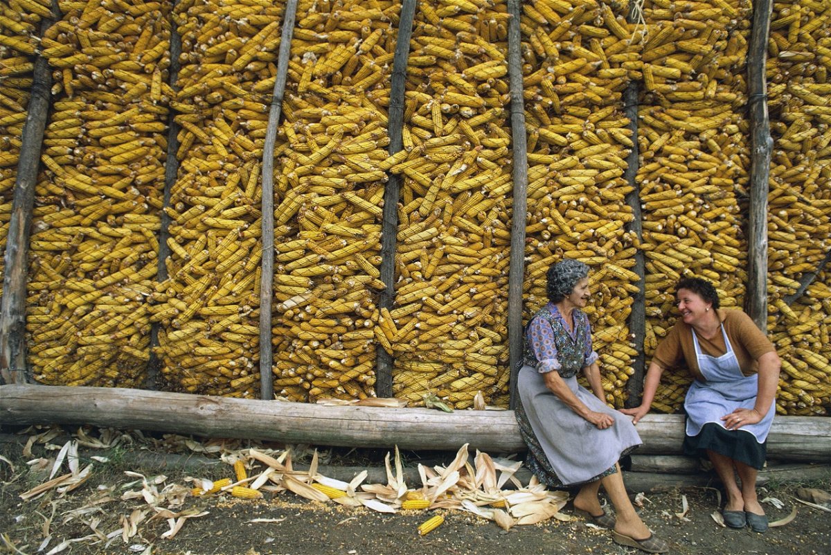 <i>bit245/iStockphoto/Getty Images</i><br/>Corn polenta on gray background. Healthy food concept.