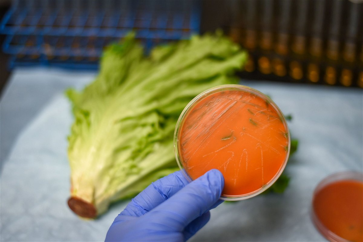 Listeria can grow in cold environments, even the refrigerator, experts say.