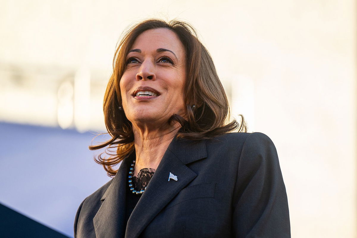 <i>Brandon Bell/Getty Images</i><br/>U.S. Vice President Kamala Harris speaks during a 'First In The Nation' campaign rally at South Carolina State University on February 2