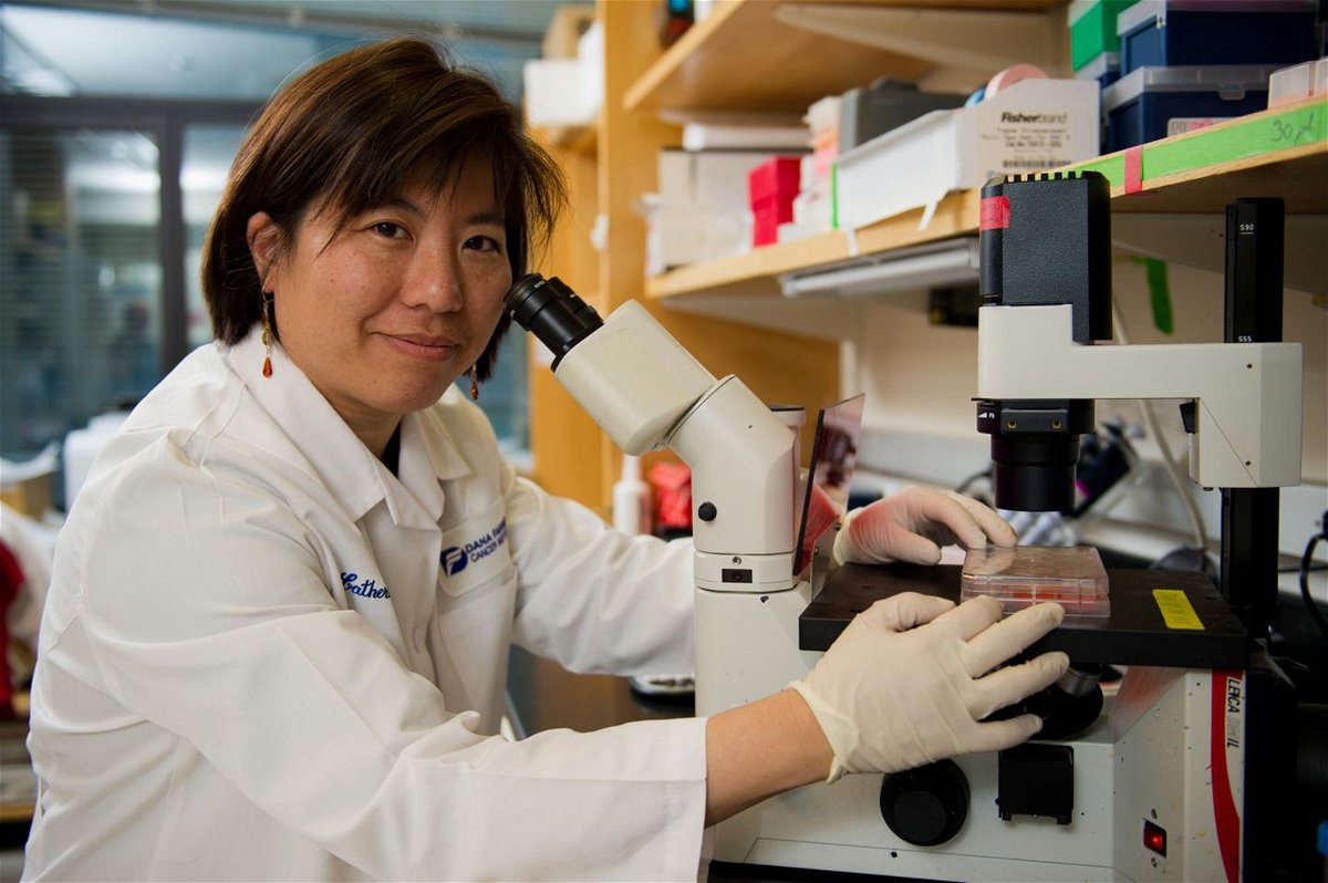 Dr Catherine Wu, an oncologist at the Dana-Farber Cancer Institute, has been awarded the Sjöberg Prize in honor of “decisive contributions” to cancer research.