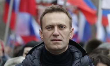 Alexei Navalny pictured in February 2019.