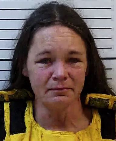 <i>Cherokee County Sheriff/WLOS via CNN Newsource</i><br/>Genevieve Ellen Springer was charged with murder after her 4-year-old twins were found dead just weeks after temporary custody agreement was reached.