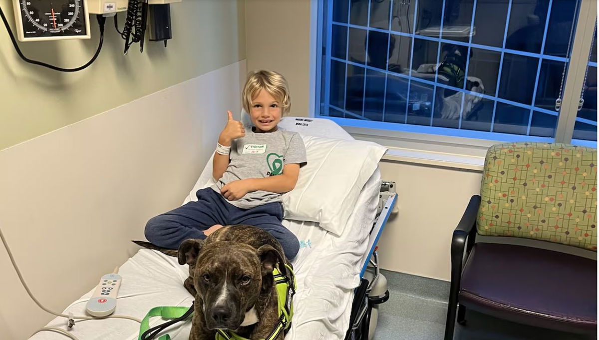 <i>Laura Wall/WSMV via CNN Newsource</i><br/>A Middle Tennessee couple says they’re in their final fight to get what they call a life-saving treatment for their 9-year-old son