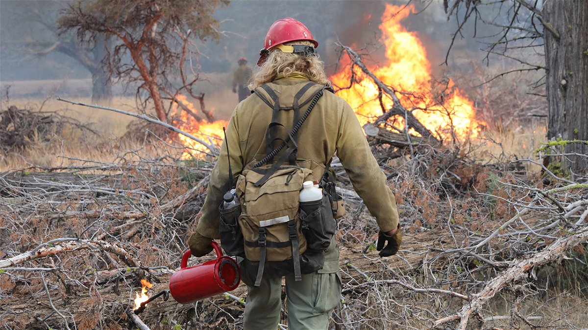 Fire operations at the Graves Creek Prescribed Burn near Juniper Mountain in Idaho. 
