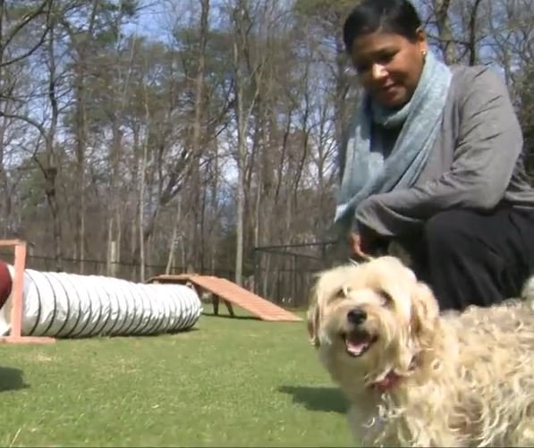 A dog sanctuary in Anne Arundel County is flying to new heights to help senior dogs like Jack with another chance at finding a loving home.