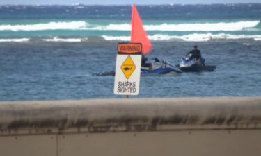 Shark warning signs are still up after an aggressive shark took a bite out of a surfer's board at Kaimana Beach.