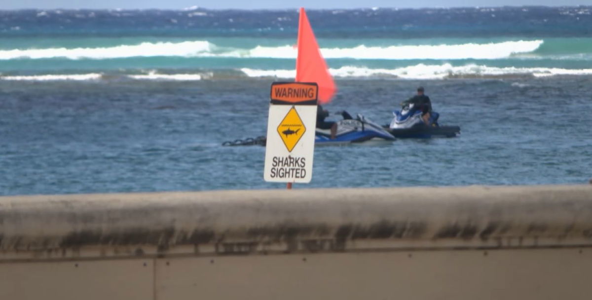 <i>KITV via CNN Newsource</i><br/>Shark warning signs are still up after an aggressive shark took a bite out of a surfer's board at Kaimana Beach.