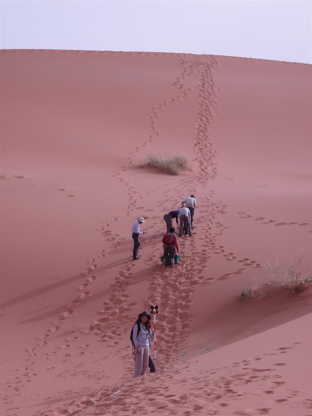 Geology students from the University of London's Birkbeck College survey the star dune at Erg Chebbi.