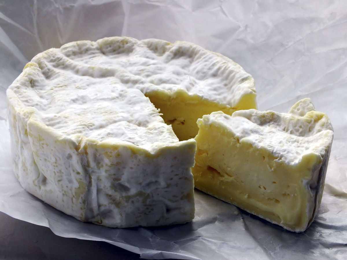 Camembert's distinctive white rind is created by a fungus that scientists say is in increasingly short supply.