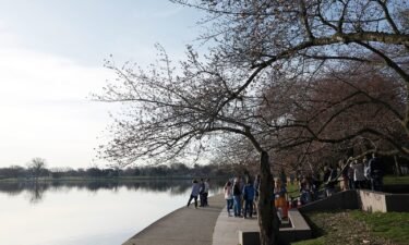 A student tour group walks past the cherry blossom trees on the Tidal Basin on March 14