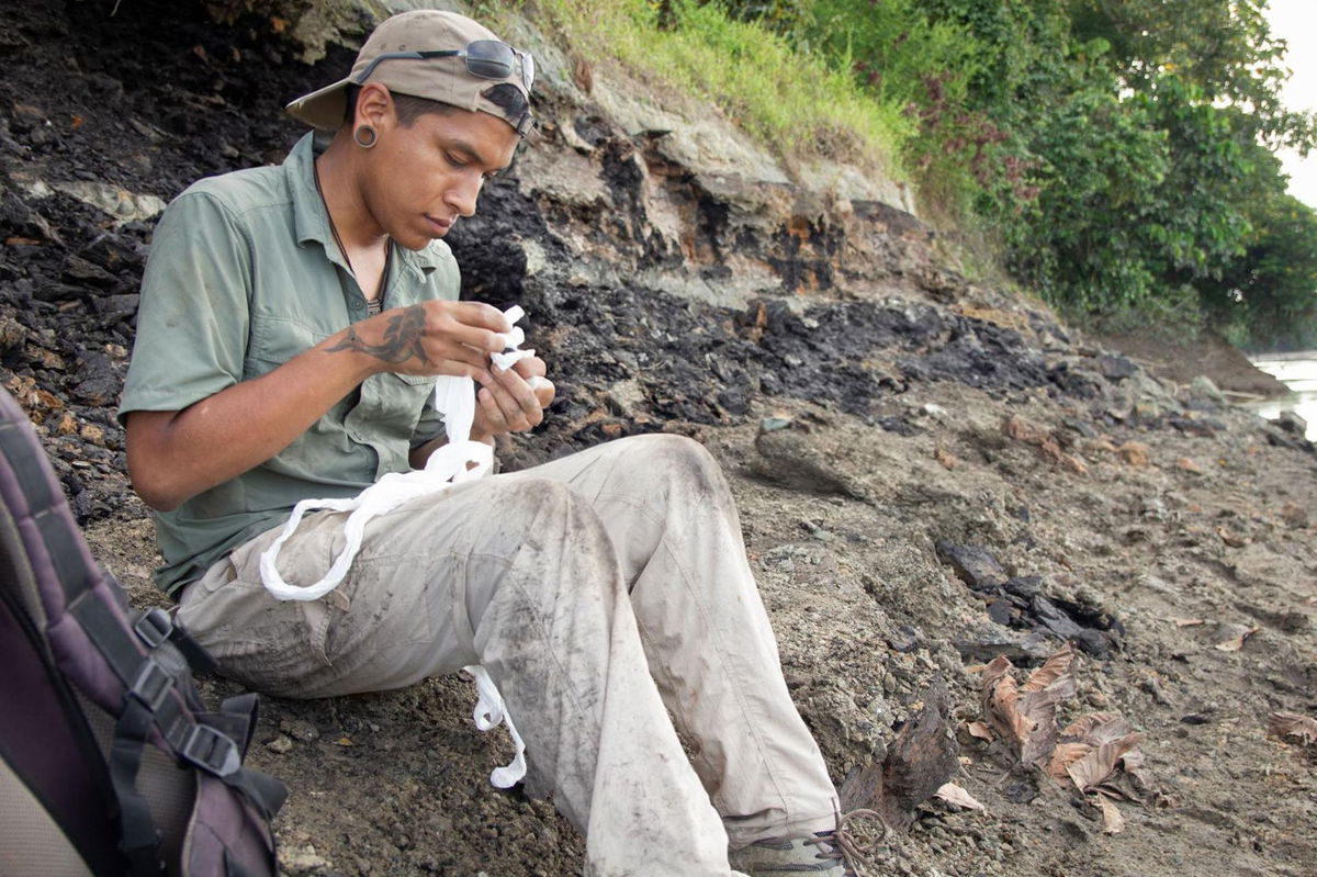 <i>Rodolfo Salas-Gismondi via CNN Newsource</i><br/>Paleontologist Aldo Benites-Palomino (Department of Paleontology