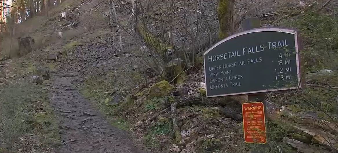 <i>KPTV via CNN Newsource</i><br/>The body of a 61-year-old solo hiker was found by Multnomah County Sheriff’s Office Search and Rescue Saturday afternoon at Horsetail Falls.
