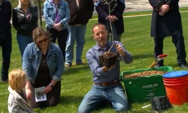 Cuttings from 150-year-old trees near Abraham Lincoln's grave planted at Hoyt Sherman Place in Des Moines