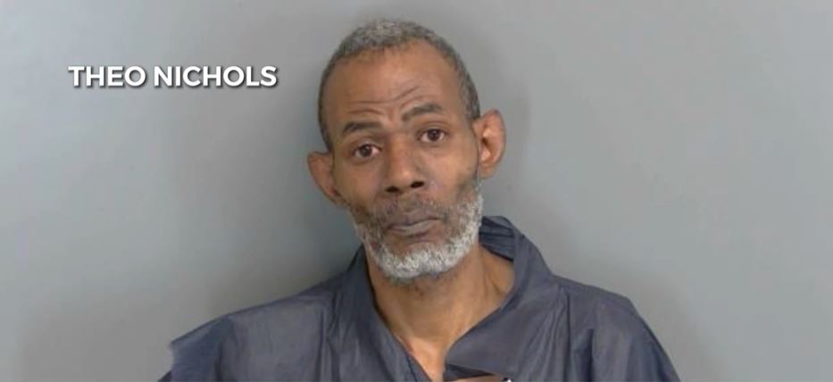 <i>Macomb County Sheriff/WWJ via CNN Newsource</i><br/>Theo Nichols has been charged with violating Michigan's safe storage law after investigators say his 8-year-old son shot himself in the face with his father's gun.