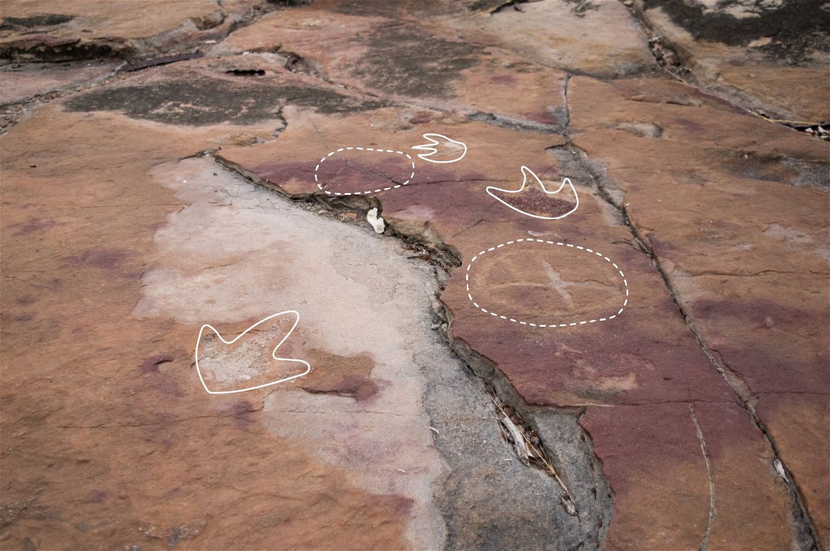 A dashed line indicates petroglyphs made by indigenous people, while a continuous line shows theropod dinosaur footprints.
