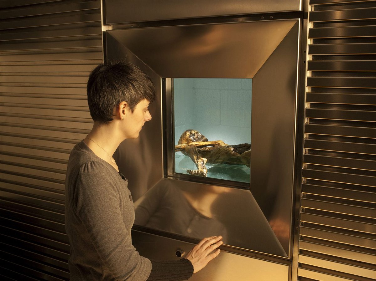 Ötzi the Iceman's remains are on display in a refrigerated cell at the South Tyrol Museum of Archaeology in Bolzano, Italy.