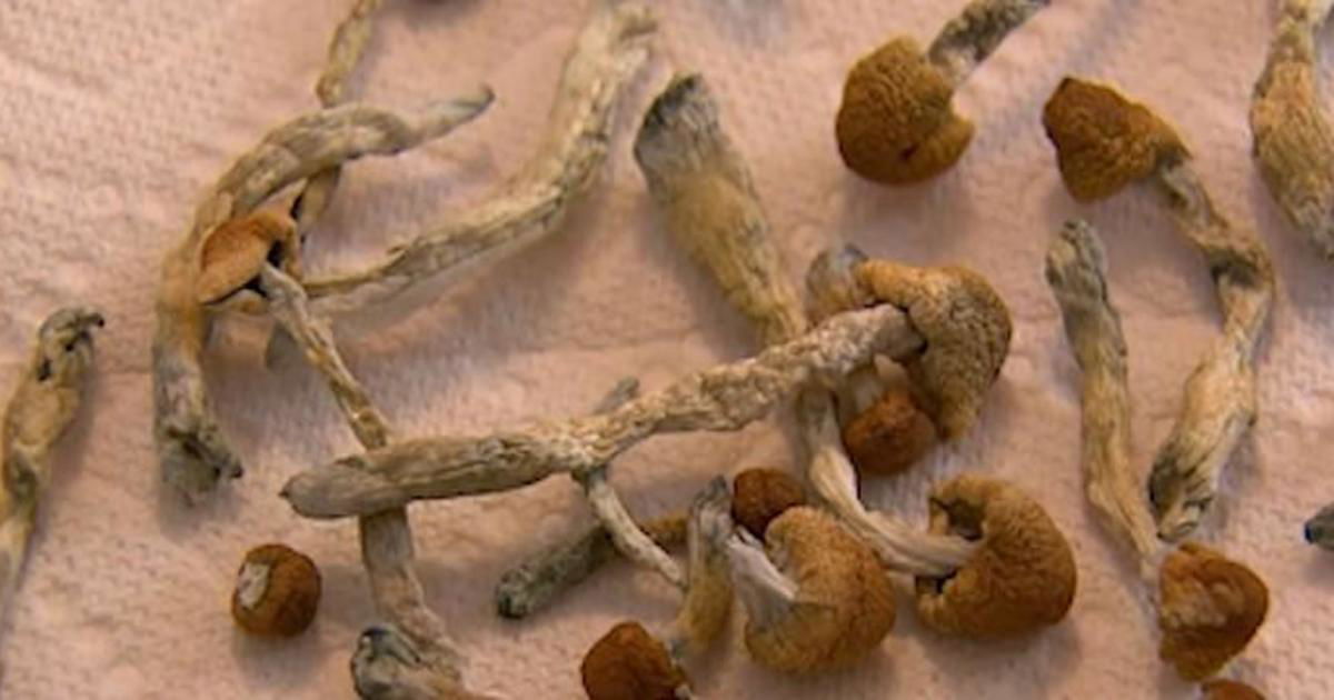 <i>WJZ via CNN Newsource</i><br/>Psilocybin is only legal in Colorado and Oregon