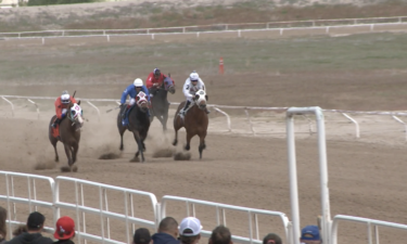Horse Racing at Pocatello Downs