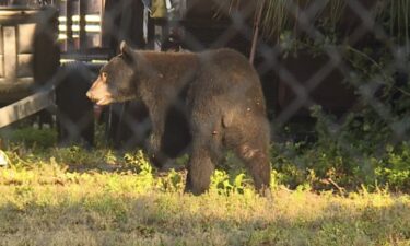 Fort Myers Police told people to avoid an area near City of Palms Park on Monday morning