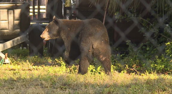 <i>WFTX via CNN Newsource</i><br/>Fort Myers Police told people to avoid an area near City of Palms Park on Monday morning