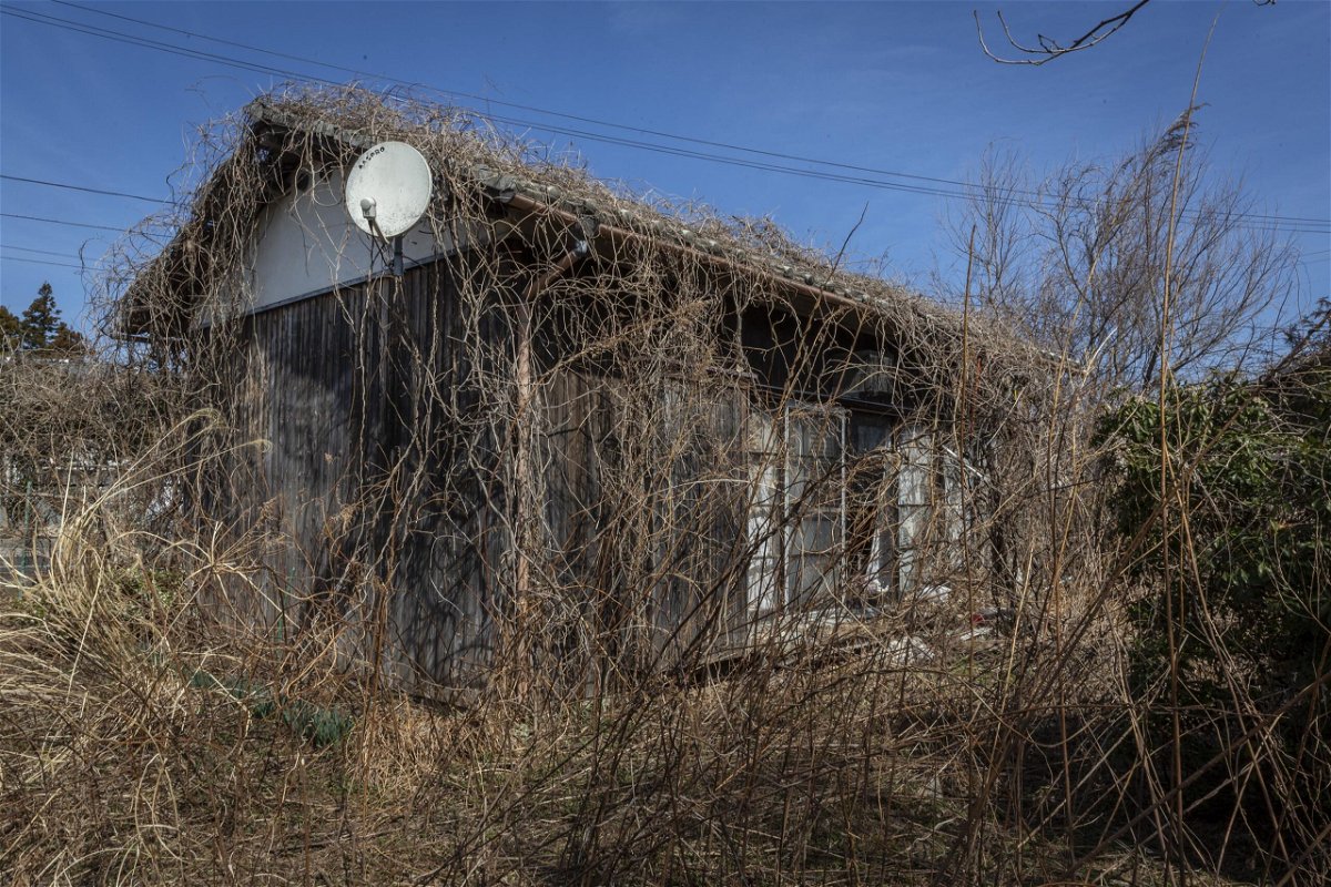 Overgrown vegetation surrounds a vacant house in the Yato area of Yokosuka City