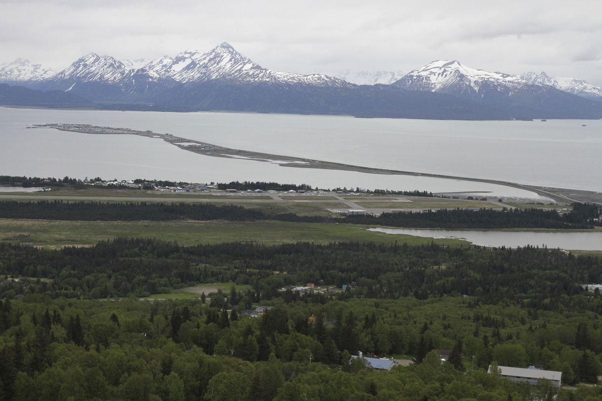 A 70-year-old Homer man was attacked and killed by a female moose Sunday after he attempted to take photos of her newborn babies.