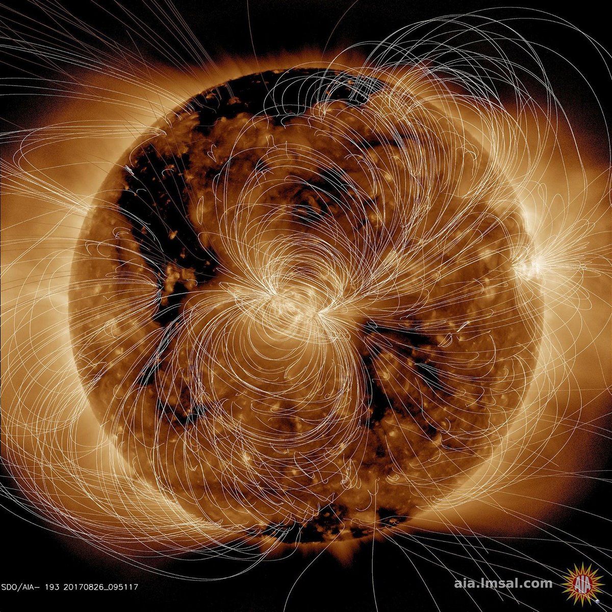 This view of the sun's magnetic field was generated by NASA's Solar Dynamics Observatory.