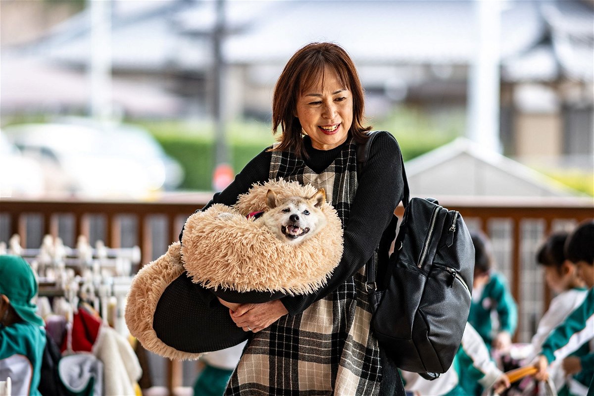 The late Kabosu pictured with her owner Atsuko Sato in Chiba prefecture, east of Tokyo, in March.