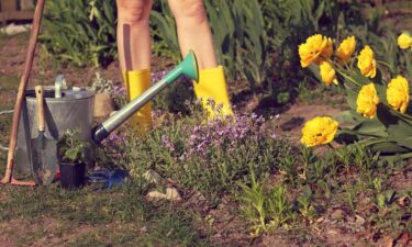 Best cities for naked gardening