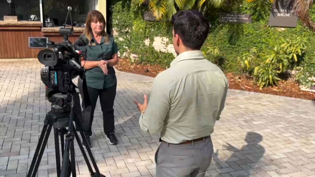 <i>WPTV via CNN Newsource</i><br/>Kelly Fad discusses with WPTV reporter Joel Lopez the behavior of alligators during mating season.