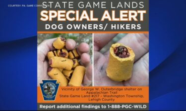 The Pennsylvania Game Commission says a hiker found dog treats stuffed with fishhooks near the George W. Outerbridge Shelter in Washington Township.