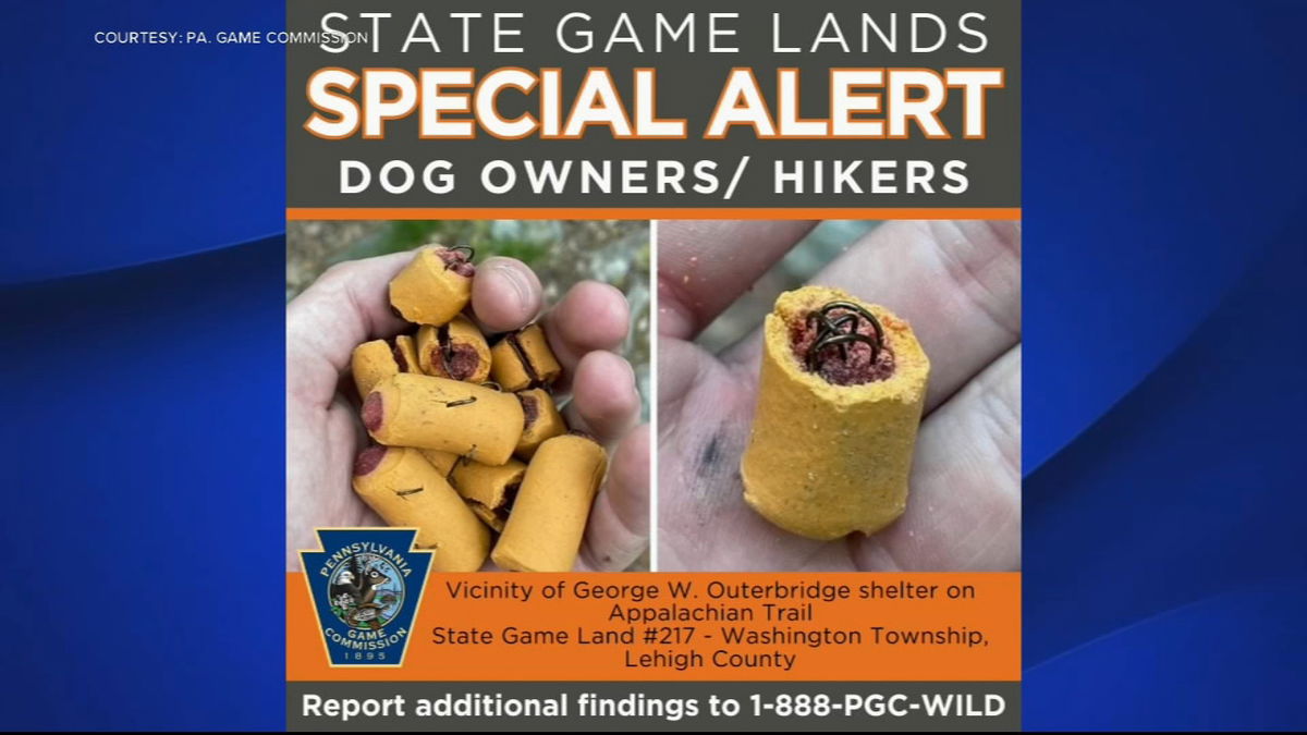 <i>Pennsylvania Game Commission/WPVI via CNN Newsource</i><br/>The Pennsylvania Game Commission says a hiker found dog treats stuffed with fishhooks near the George W. Outerbridge Shelter in Washington Township.