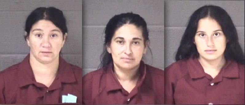 Women accused of stealing thousands of dollars in baseball bats ...