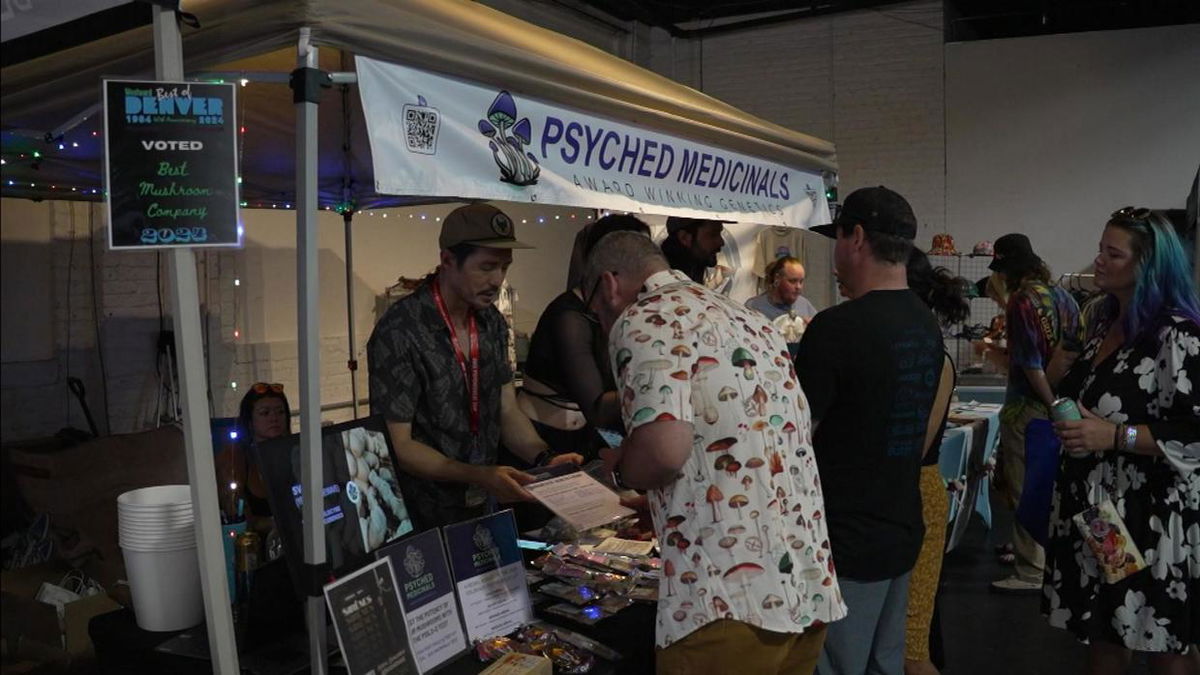 <i>KCNC via CNN Newsource</i><br/>Lovers of magic mushrooms gathered to celebrate recreational use at the first-ever Denver Shroom Fest in RiNo.