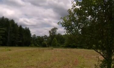 People with the Oregon Ridge Nature Center are upset after Baltimore County workers mistakenly mowed a meadow filled with grass and flowers used for wildlife.