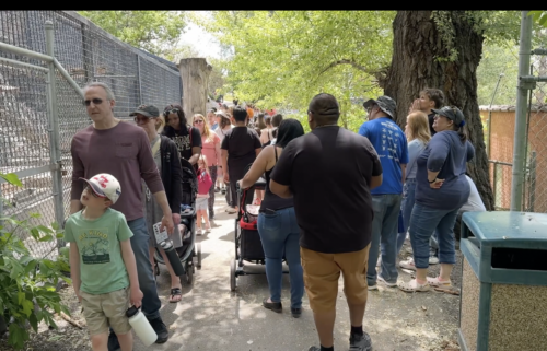 People walking through exhibits at Zoo Idaho