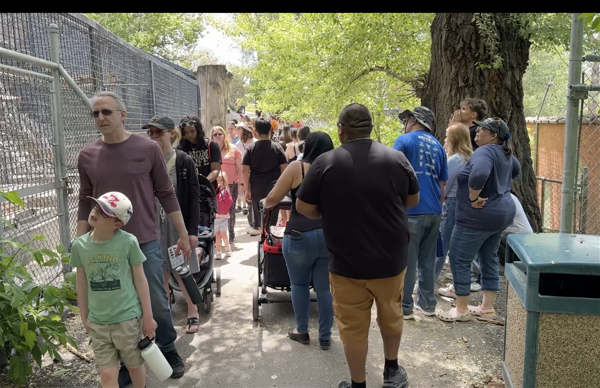Thousands of people turn out for Free Day at Zoo Idaho – Local News 8