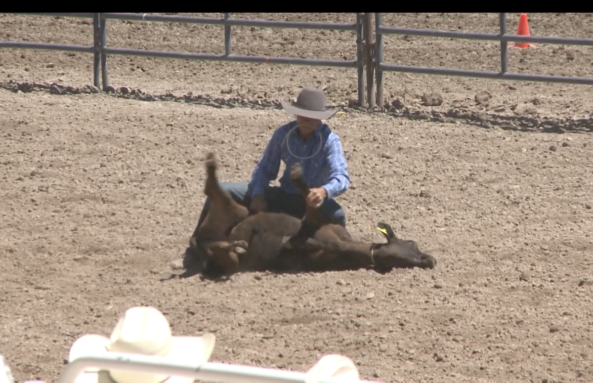 Idaho High School State Rodeo happening all week in Pocatello – Local News 8