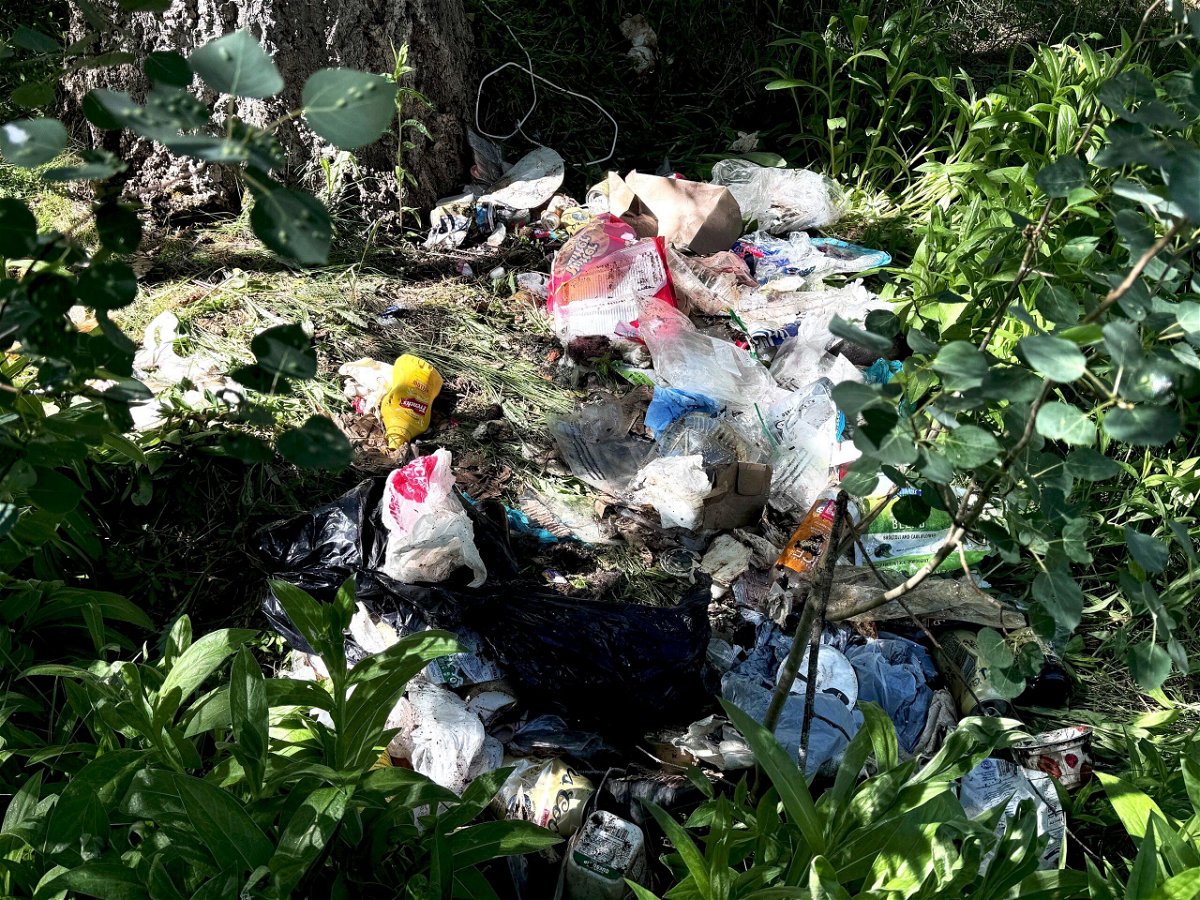 The remaining garbage after black bears find unsecured garbage at a residence in Ketchum.