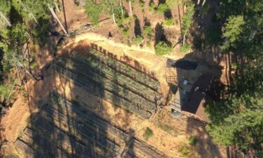 Police destroyed 800 marijuana plants at a grow site in the 1000 block of Crooks Creek Road in Selma.