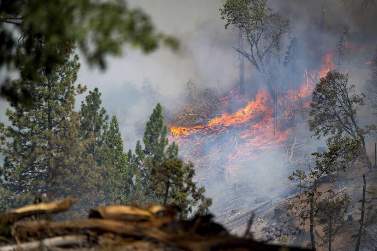 The Park Fire burns along Highway 32 near Forest Ranch, California.