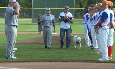 The Fort Collins Foxes