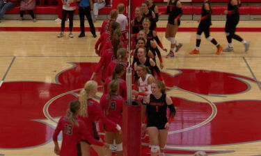 Two volleyball teams line up on either side of a net and high-five each other before a game.