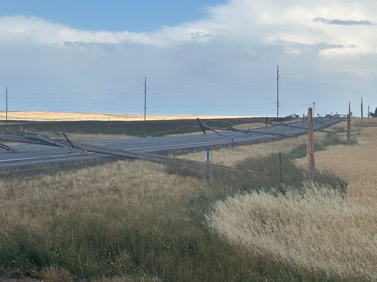 Power restored for victims of downed power lines on Highway 33 – LocalNews8.com