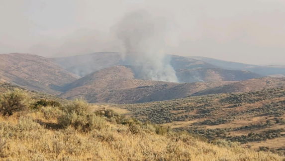 <i>Bureau of Land Management Idaho Fire/KIVI via CNN Newsource</i><br/>The BLM Idaho Fire is reporting that the Paddock Fire has continued to spread across the south end of the Paddock Reservoir.