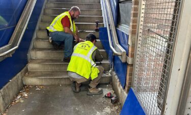 SEPTA workers discovered a mama cat and her five kittens nestled within the walls and ceiling of the 63rd Street Station on the Market-Frankford Line