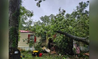 A 13-year-old boy in Levy County was killed after a tree fell on him during Hurricane Debby