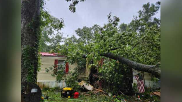 <i>Levy County Sheriff's Office/WESH via CNN Newsource</i><br/>A 13-year-old boy in Levy County was killed after a tree fell on him during Hurricane Debby